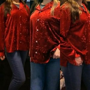 Womens Red Blouse Shirt Long sleeve Rose Seasonal Cold weather Velveteen Feeling